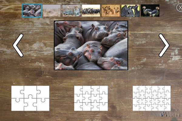 Active Floor Jigsaw Puzzle